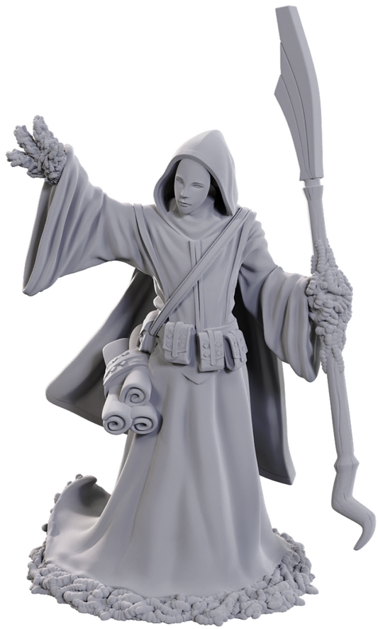D&D - Unpainted Minis - Star Spawn Larva Mage